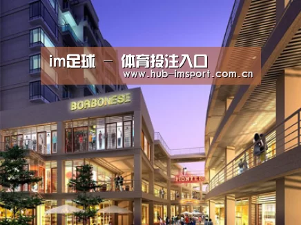 案例展示一(图1)