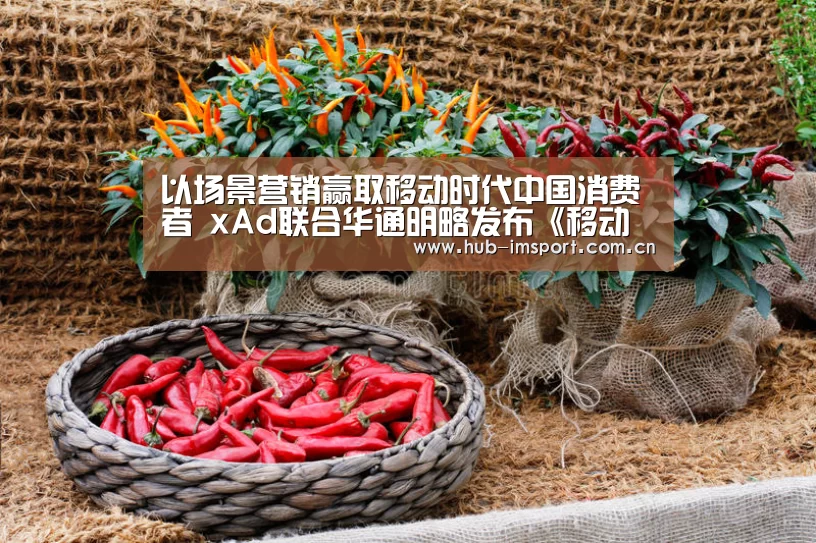 im体育投注