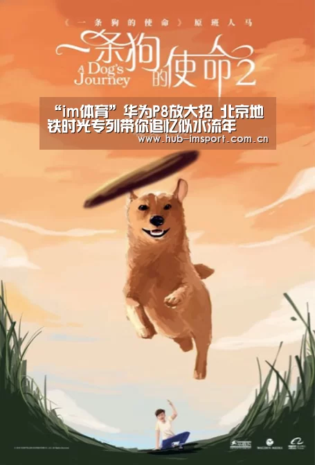 im体育